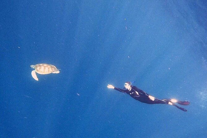 Snorkeling excursion in the Rayas and Turtles Zone - Meet at Abades, or go from Marina del Sur: how your day starts
