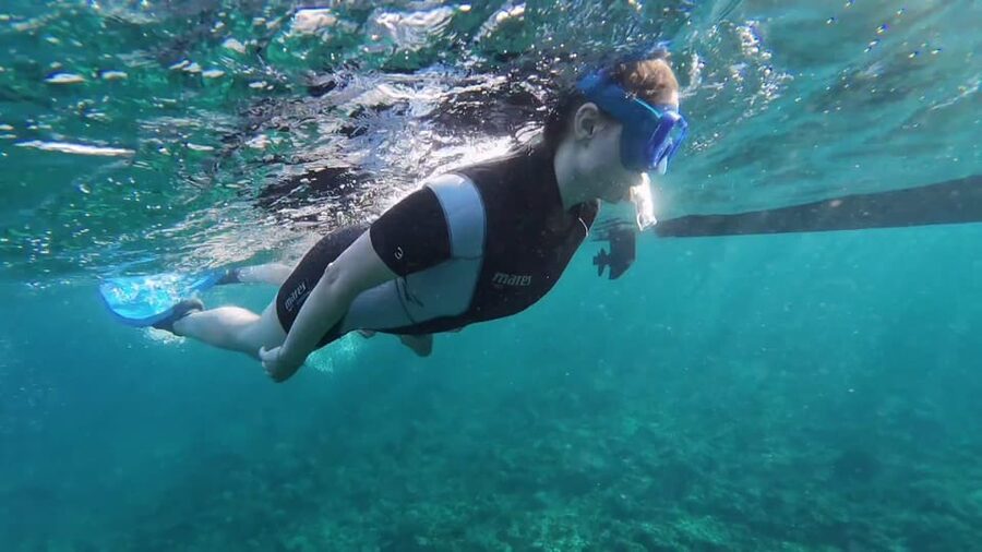 Snorkeling in a Volcanic Bay - What the free photo report is actually good for