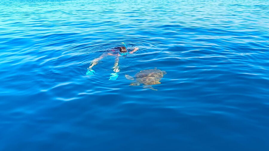 Snorkeling in a Volcanic Bay - FAQ
