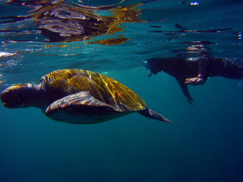 Snorkeling in a Volcanic Bay - Safety briefing and gear check: the 10 minutes that matter