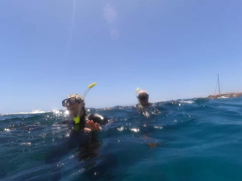 Snorkeling in tenerife south: Discover the underwater world - Booking Tenerife South snorkeling for real sea life (not a gadget tour)