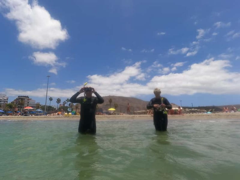 Snorkeling in tenerife south: Discover the underwater world - The 1-hour safety briefing that sets the whole tone