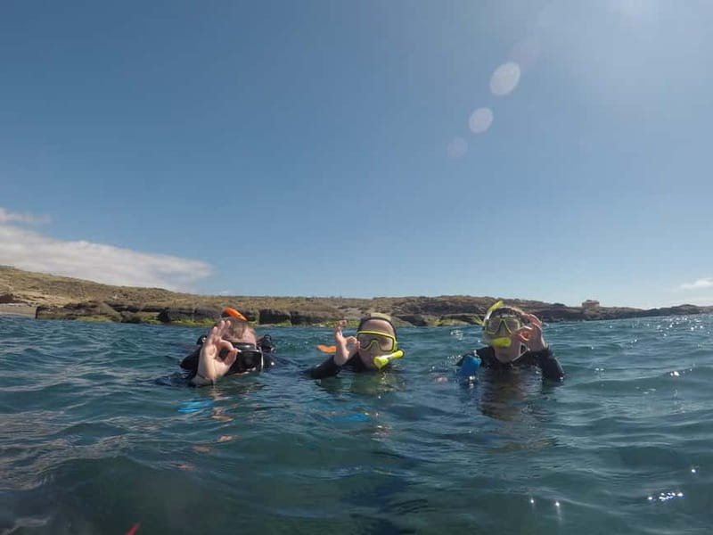 Snorkeling in tenerife south: Discover the underwater world - Gear check: what you get and why neoprene matters here