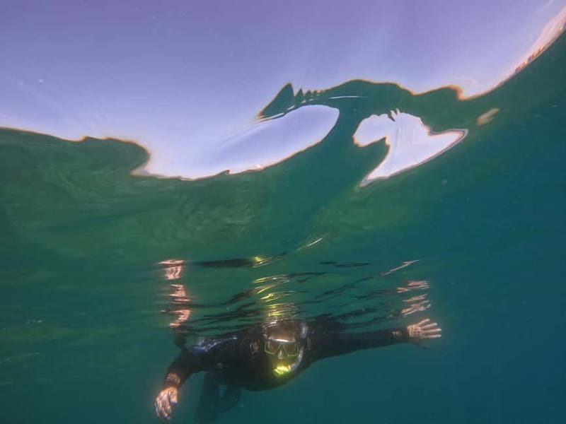 Snorkeling in tenerife south: Discover the underwater world - Guided spots and close attention (this is where it earns its stars)