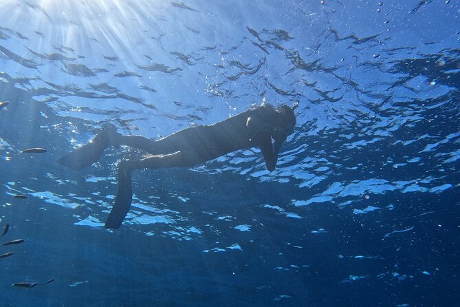 Snorkeling with a Professional Instructor in Tenerife - What you’ll do in the water (and why the guide matters)