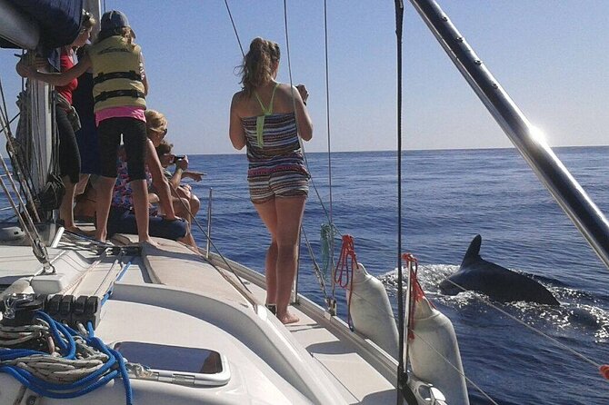 South Coast Tenerife Cruise - Swimming and snorkeling: how to make this stop count