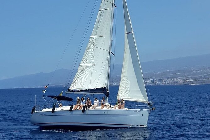 South Coast Tenerife Cruise - Price and value: what $66.54 buys you in practice