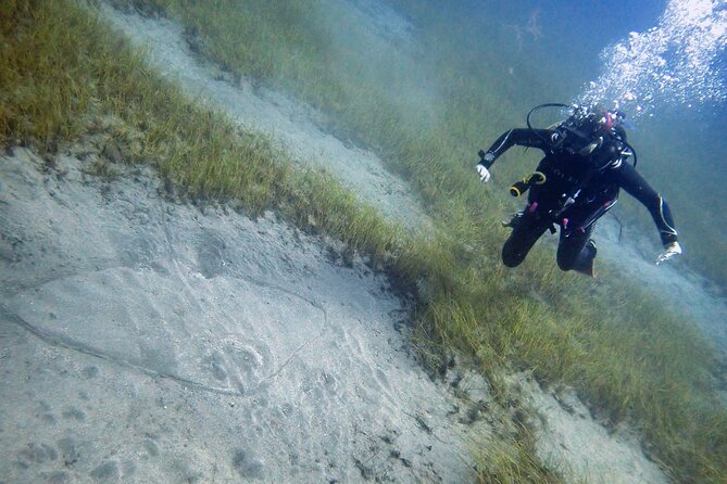 South of Tenerife : DSD Scuba Diving for beginners, Adeje - Entering The Underwater Training Flow in Adeje