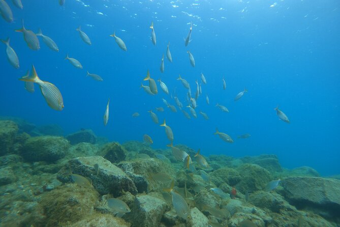 South of Tenerife : DSD Scuba Diving for beginners, Adeje - Beach Theory: How They Set You Up to Stay Calm