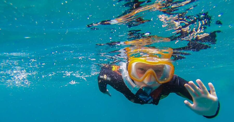 South Tenerife: Guided Snorkeling - Key points to know before you go