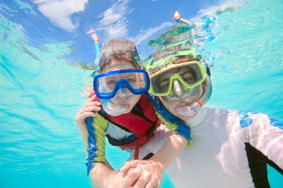 South Tenerife: Guided Snorkeling - Stingrays and friends: how the instructor improves your odds