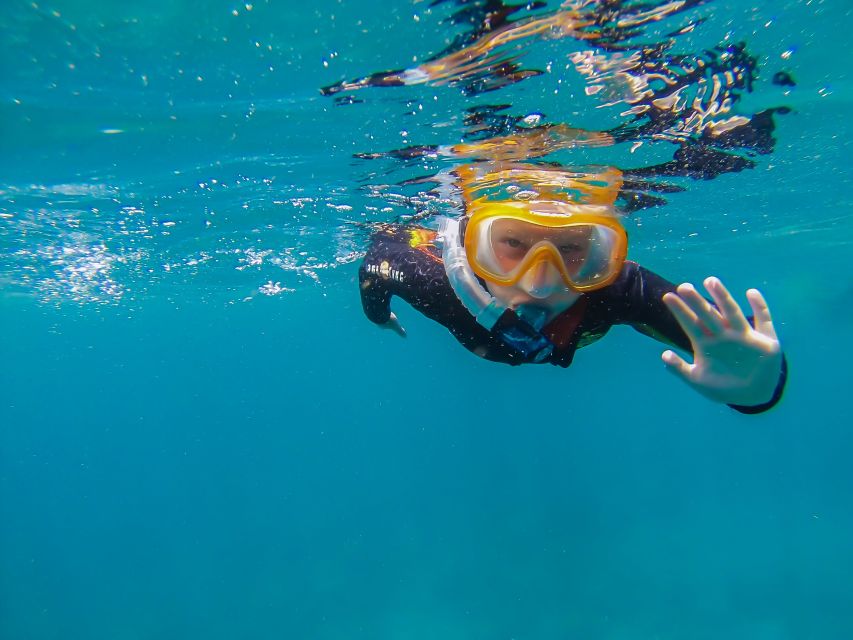 South Tenerife: Guided Snorkeling - How the 2-hour schedule flows (without rushing you)