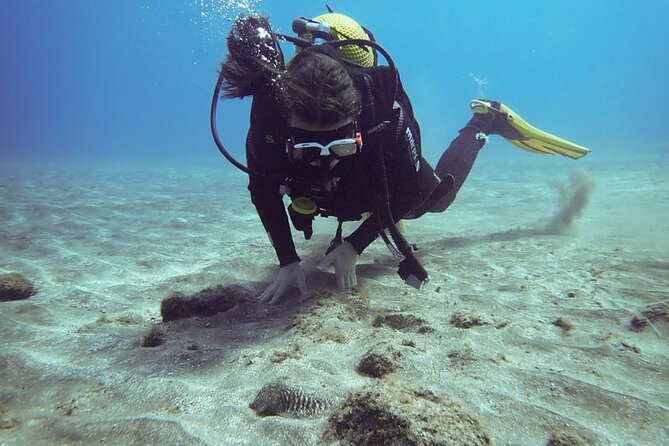 SSI basic diver In Tenerife - 2 Dives - Key things I’d watch for