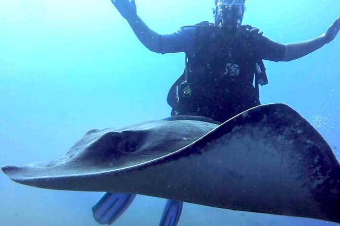 SSI Open Water Diver Course in Tenerife - Price and What You Actually Get for $629.71