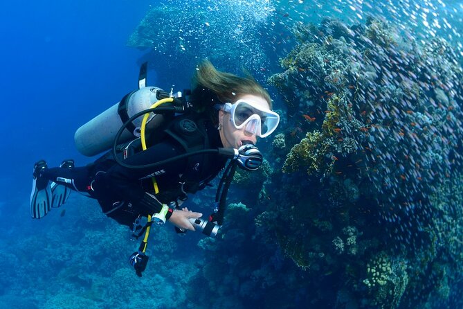 SSI Open Water Diver Course in Tenerife - Golf del Sur Pickup and How to Get to the Start Point