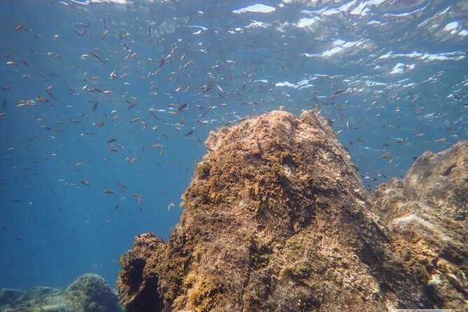SSI Open Water, South Tenerife - Day-by-day: skills that build your confidence