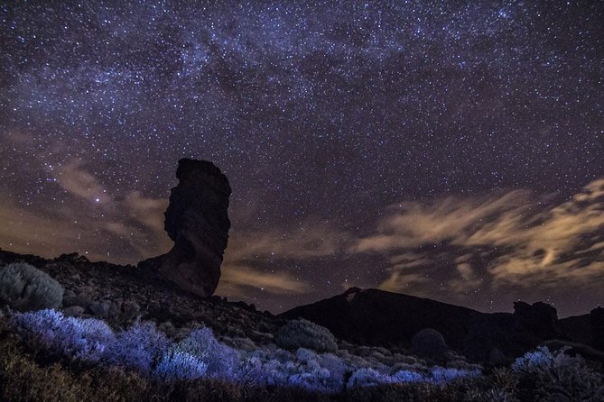 Stargazing Experience with Dinner & Drinks - Dinner and Drinks: The Canarian 3-Course Start
