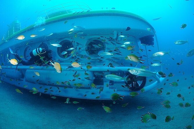 Submarine tour Tenerife: a 1 hour underwater experience - Inside the air-conditioned cabin and those 60 cm viewing ports