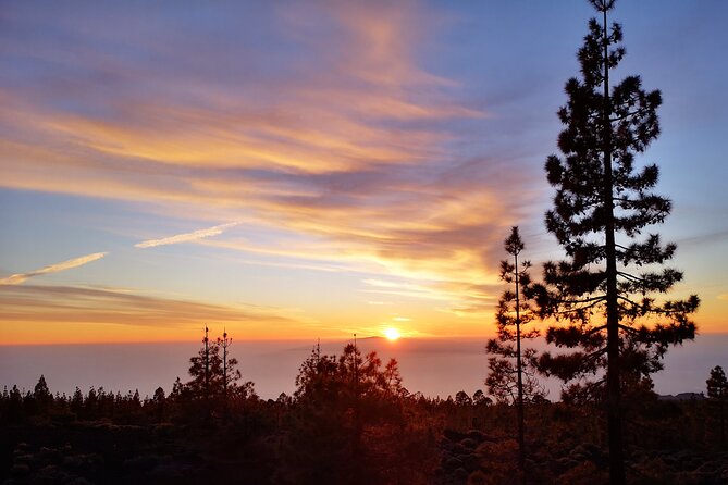 Sunset & Stargazing Experience From Teide - Price and Value: Where the Money Goes (and Where It Might Leak)
