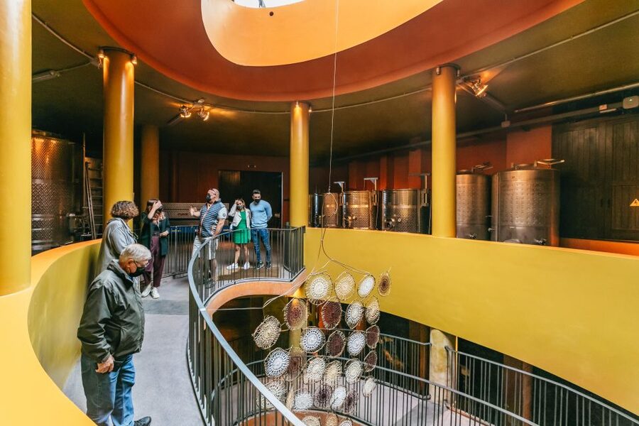 Tacoronte: Guided Winery Tour with Wine and Cheese Tastings - The cheese matters: why island-specific goat cheese is the real education