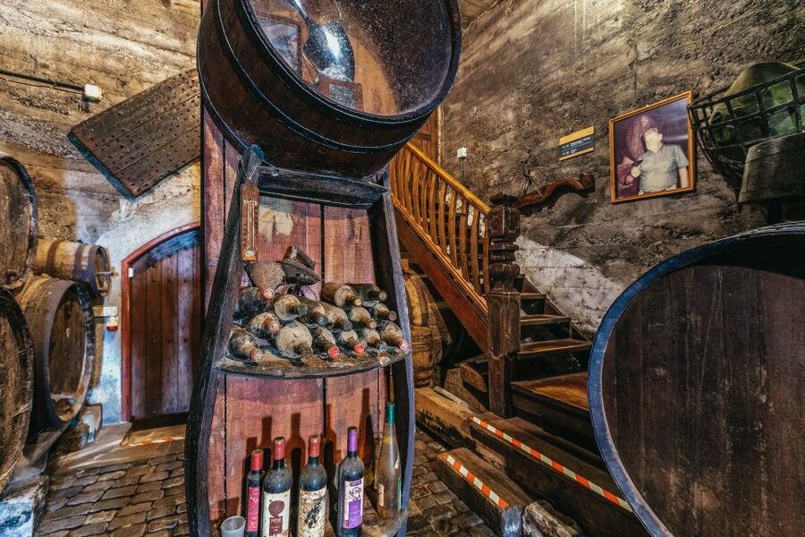 Tacoronte: Guided Winery Tour with Wine and Cheese Tastings - Guide style and language: what to expect in English vs Spanish