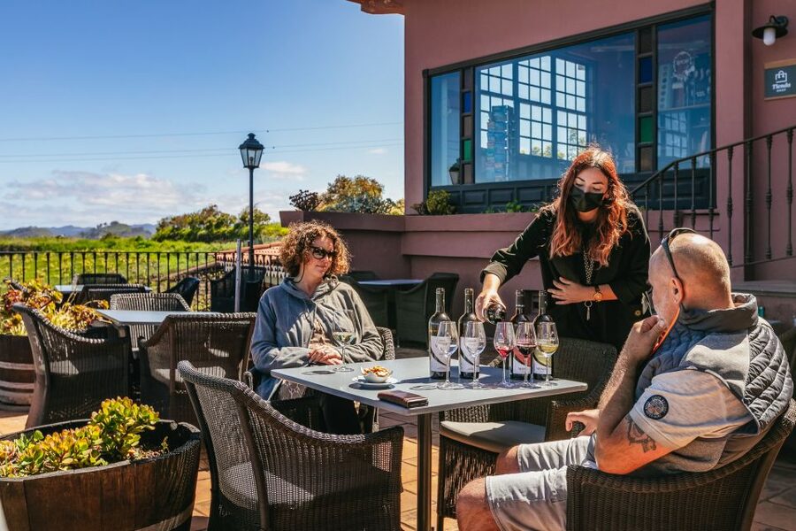 Tacoronte: Guided Winery Tour with Wine and Cheese Tastings - Price and value: is $41 a good deal for a 2-hour experience?