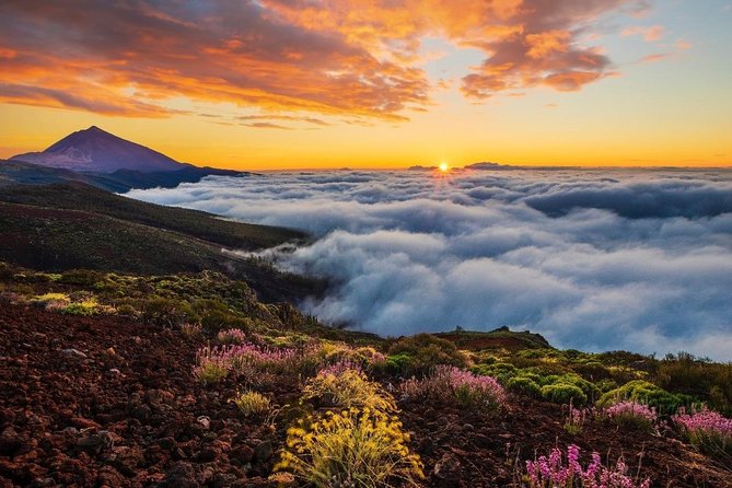 Teide 1/2 Day - Families, kids, and the bus-time tradeoff