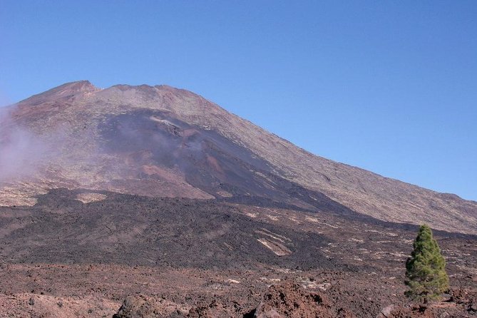 Teide essential Shore Excursion VIP TOUR - Getting there: port meet-up and pickup that won’t eat your time