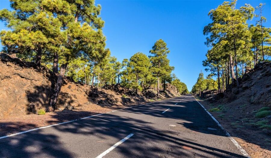 Teide: Guided Sunset & Stargazing Tour by Night with Dinner - Teide National Park in Daylight: Photo Stops That Actually Pay Off