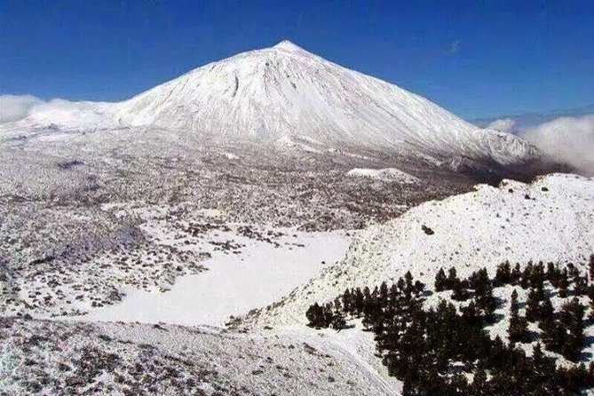 Teide-Icod-Garachico-Masca (Most popular bus tour in Tenerife) - Price and value: what $78.10 really buys you