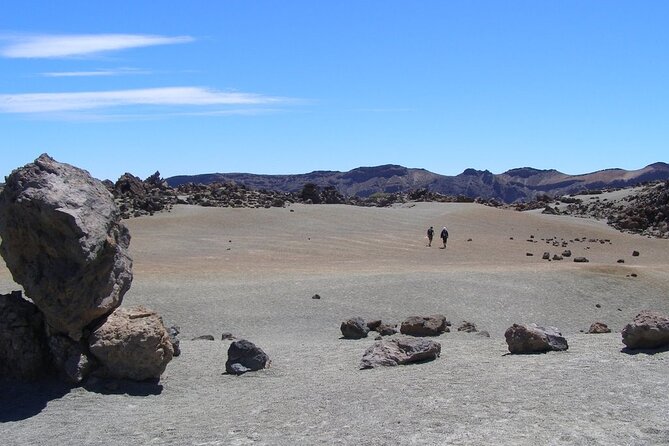 Teide National Park (5-7hours) - The guide + driver factor: when humor and competence change the whole trip