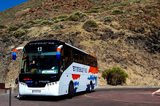 Teide National Park - Stop 5: Chío break for toilets and a quick reset