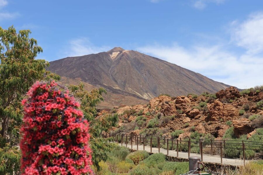 Teide National Park and Vilaflor - Wine Stop and Abono: Optional Tasting as a Relaxed Late-Morning Break