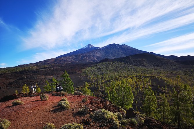 Teide National Park for smaller groups - Key moments you’ll care about
