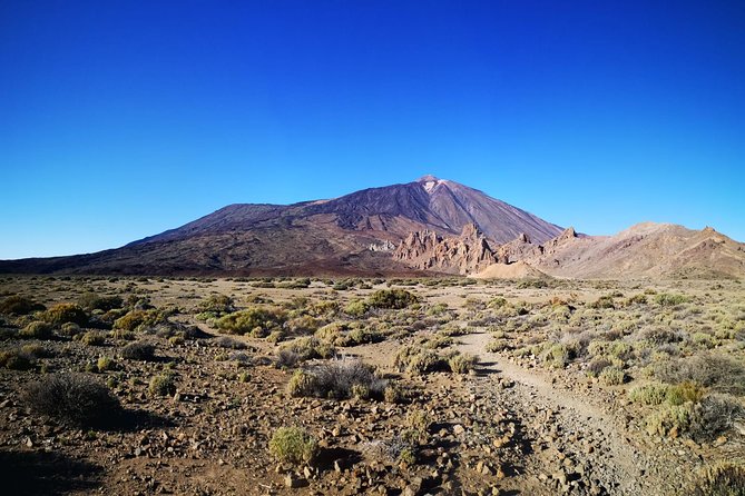 Teide National Park for smaller groups - Why Teide looks different when you’re guided