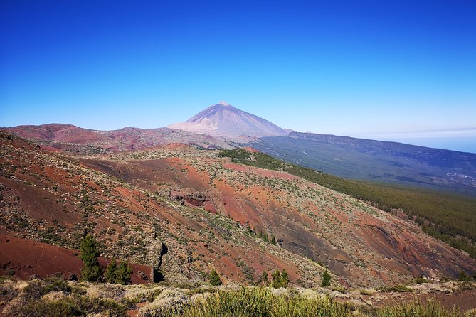Teide National Park for smaller groups - Stop 1: Vilaflor at high altitude and local coffee