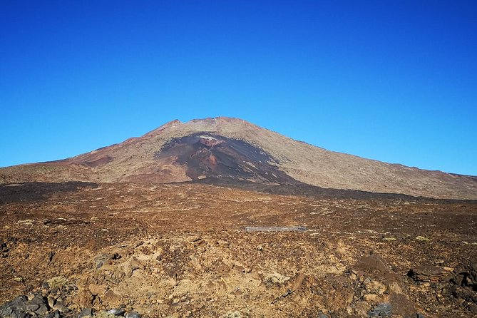 Teide National Park for smaller groups - Stop 2: El Pino Gordo, the thick old pine