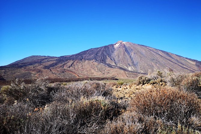 Teide National Park for smaller groups - Stop 4: Paradores Cañadas del Teide and Roques de García