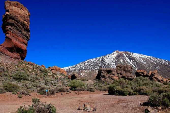 Teide National Park Full Experience with Professional Guide - El Pino Gordo: a giant pine with real geology behind it