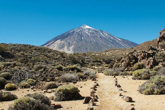 Teide National Park Full Experience with Professional Guide - Teide National Park on a panoramic route (the heart of the day)