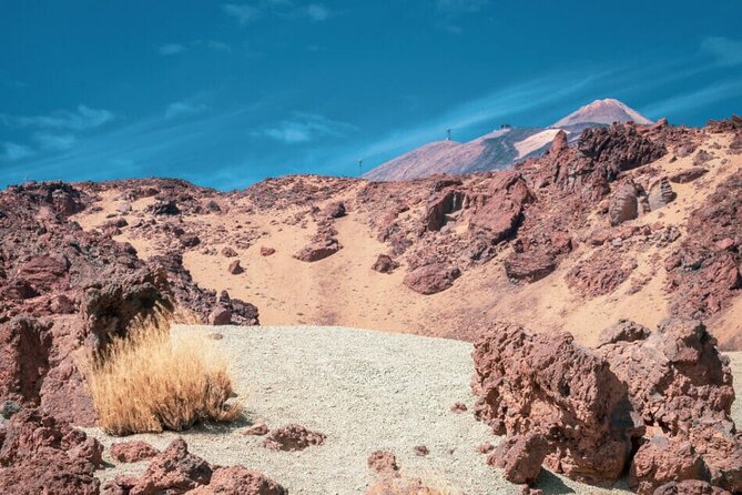 Teide National Park Full Experience with Professional Guide - Mirador de las Narices del Teide: 1798 eruption, explained by the land
