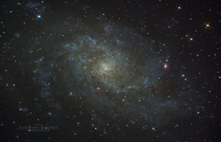 Teide National Park: Guided Large Telescope Stargazing Tour - Night Vision Voyage: A Different Way to See the Sky