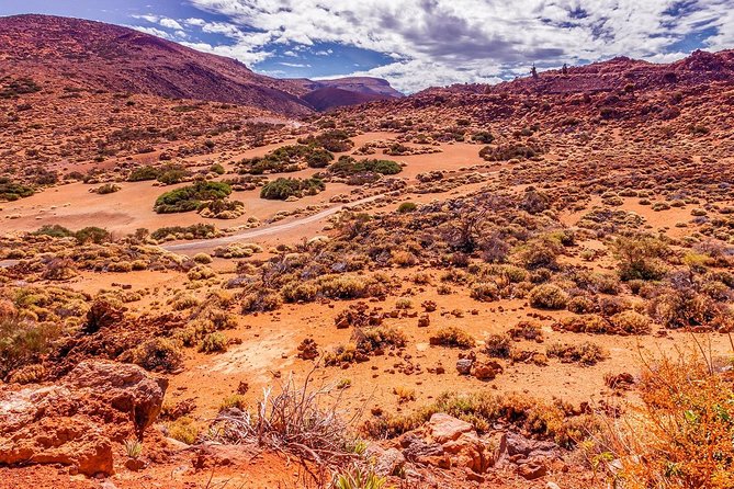 Teide National Park Half Day Tour with Hotel Pick up - From Los Cristianos: How Pickup Shapes Your Day