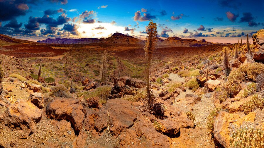 Teide National Park: Landscapes and Viewpoints Private Tour - Teide National Park: why the views hit harder with explanations