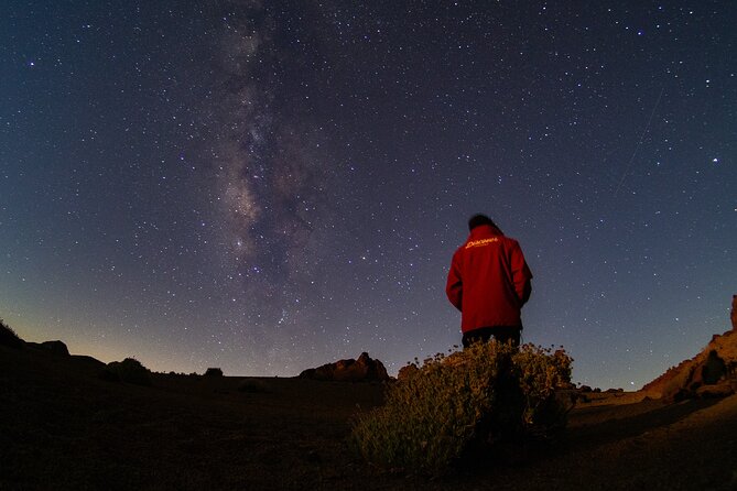 Teide National Park: Stargazing Experience - Meeting point and practical logistics (so you’re not scrambling)