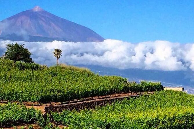 Teide National Park with visit to wineries in Tenerife - Key highlights worth clocking before you go