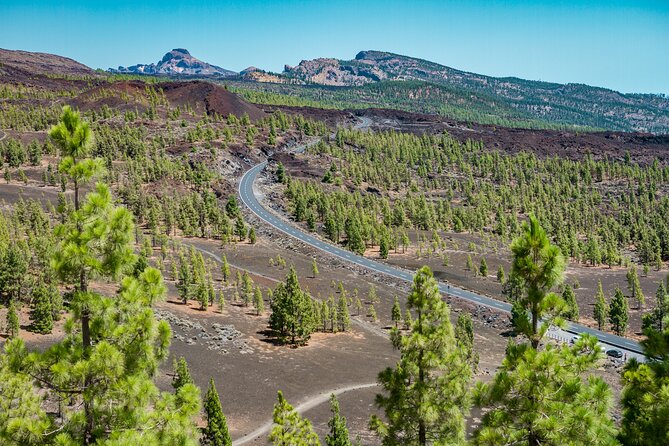 Teide National Park with visit to wineries in Tenerife - Admission is free here—what that means for your budget