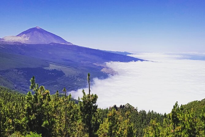 Teide National Park with visit to wineries in Tenerife - The value math: what $130.60 really covers