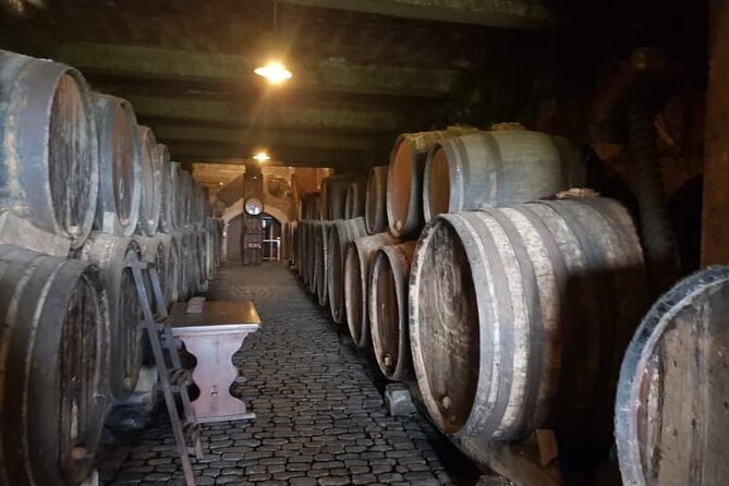 Teide National Park with visit to wineries in Tenerife - How the 9:00 start affects your day (and your photos)