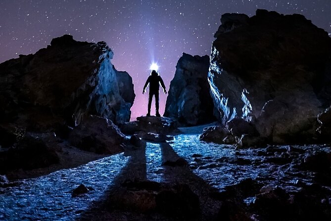 TEIDE NIGHT Astronomy Stargazing Bus Tour, Meal & Drinks included! - Teide Night at a Glance: What You’re Really Buying